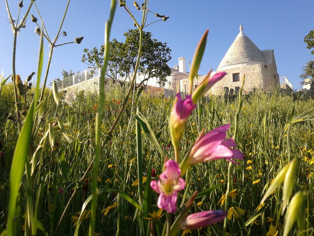 Cappelluzzo Villa ชิสแตร์นีโน ภายนอก รูปภาพ